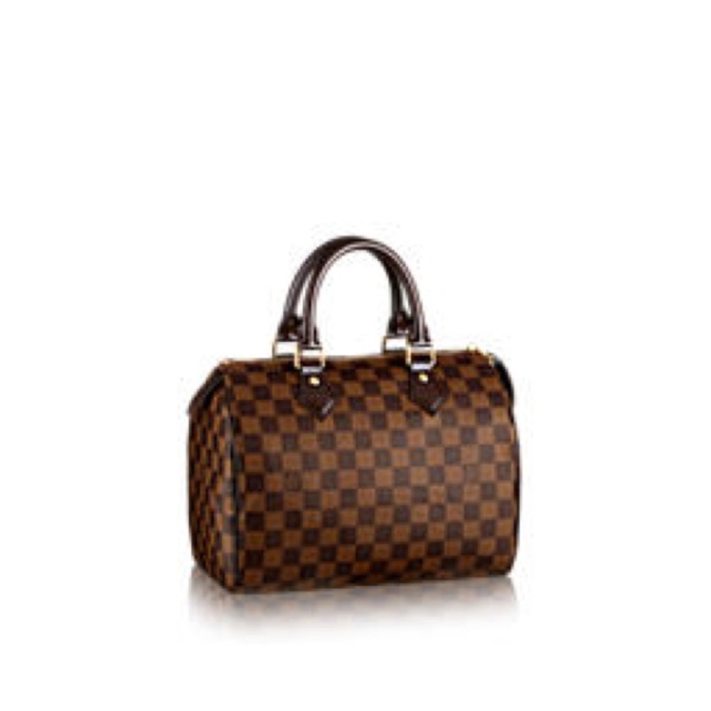 Louis Vuitton Speedy 25 Damier handbag